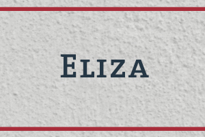 The Naming Project: Eliza